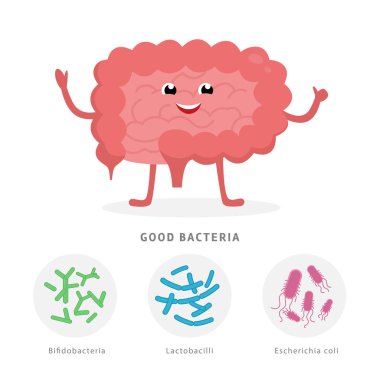 İyi bakteri konsept illüstrasyon, beyaz arka plan üzerinde izole sağlıklı bağırsak çizgi film karakteri. Bifidobakteri, Lactobacilli, Escherichia coli tıbbi illüstrasyon ile gut mikrofloranın