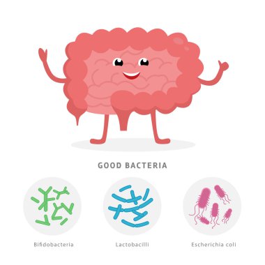 Good bacteria concept illustration, healthy intestine cartoon character isolated on white background. Gut microflora with Bifidobacteria, Lactobacilli, Escherichia coli medical illustration clipart