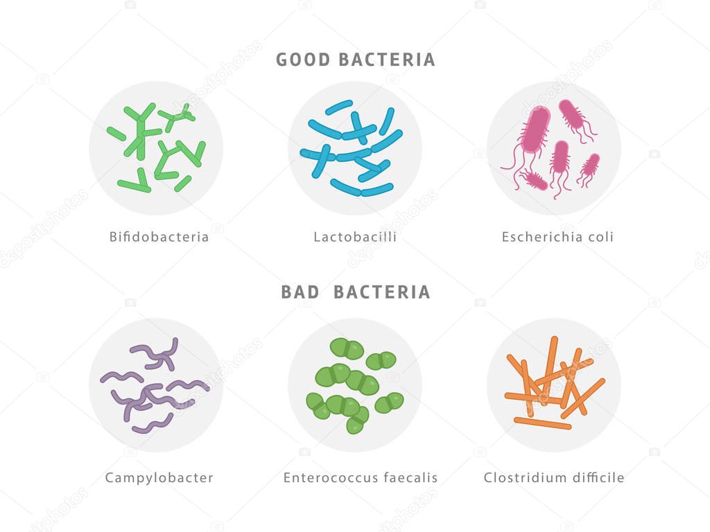 Good and bad bacterial flora icon set isolated on white background. Gut dysbiosis concept medical illustration with microorganisms.