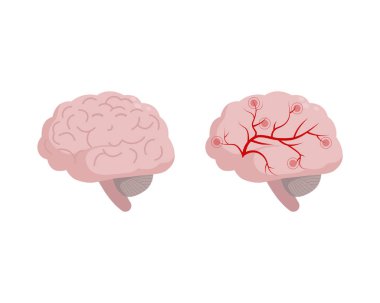 Beyaz arka planda, düz tasarım tıbbi illüstrasyon izole sağlıklı beyin simgesi. Serebral dolaşım ve beyin atar ve toplar damarlardaki sağlayan beyin, migren, baş ağrısı kavramı spazm.