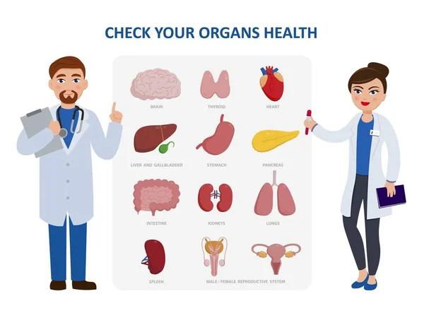 Check your internal organs health poster including two doctors cartoon characters and organs icon set. Vector illustration in flat design, medical infographic elements isolated on white background. — Stock Vector