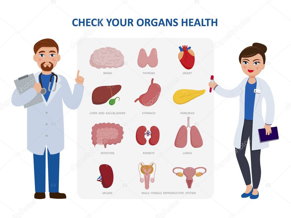 Check your internal organs health poster including two doctors cartoon characters and organs icon set. Vector illustration in flat design, medical infographic elements isolated on white background.