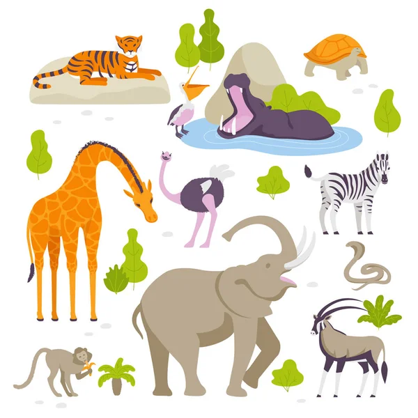 Wild animals in the zoo set of vector illustrations in flat design isolated on white background. Green bushes and trees around. — Stock Vector