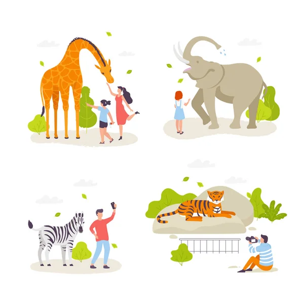 People in the zoo looking at animals and acting with them. Cute wild animals, cheerful people, children cartoon characters flat design. Giraffe, elephant, zebra, tiger isolated. Infographic elements. — Stock Vector