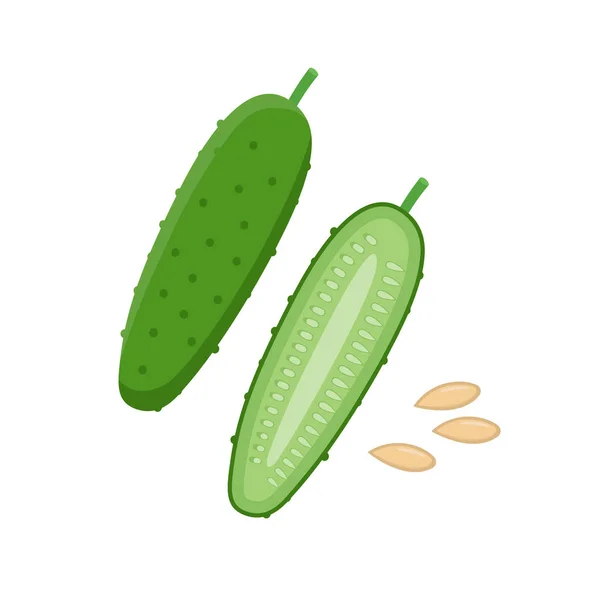 Ilustración plana del vector del pepino. Pepino entero y reducido a la mitad y semillas aisladas sobre fondo blanco. Elemento de diseño de embalaje — Vector de stock