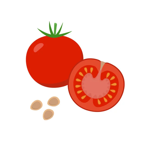 Ilustrasi datar vektor tomat. Seluruh dan setengah tomat dan biji terisolasi pada latar belakang putih. Elemen desain paket - Stok Vektor