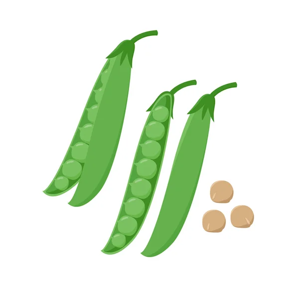 Green Pea pod y semillas de guisantes vector ilustración en diseño plano aislado sobre fondo blanco. Elemento de diseño de embalaje — Vector de stock