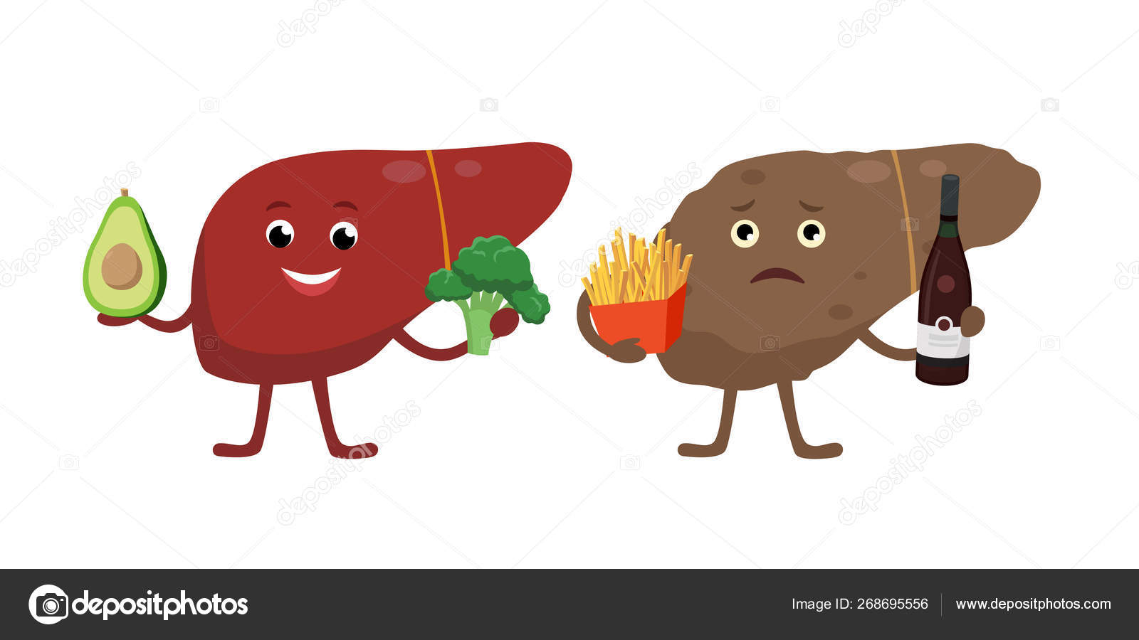 Healthy and unhealthy liver cartoon characters isolated on white. Cheerful  liver with healthy vegetarian food and sick liver holding bad products for  its health, with cirrhosis. Medical illustration. Stock Vector Image by ©