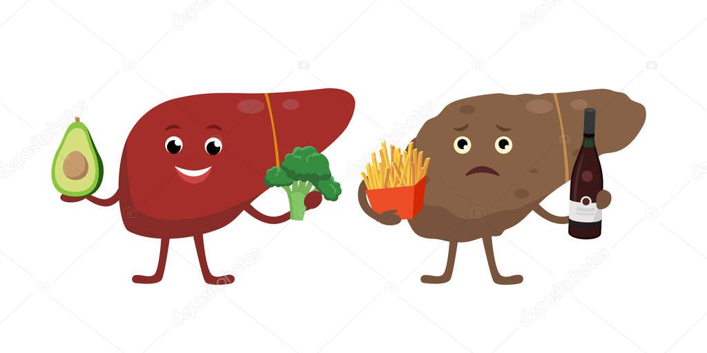 Healthy and unhealthy liver cartoon characters isolated on white. Cheerful liver with healthy vegetarian food and sick liver holding bad products for its health, with cirrhosis. Medical illustration.