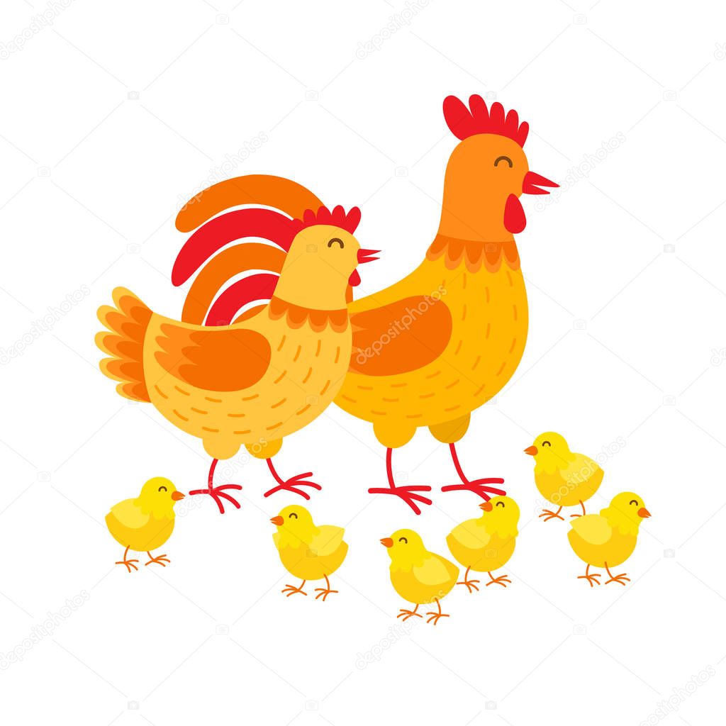 Hens family cute cartoon characters. Hen, rooster and chickens isolated on white background. Happy chicks vector illustration in flat design. Mother hen, father cockerel and yellow poults.