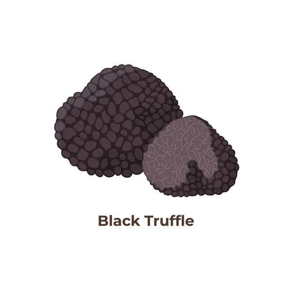 Zwarte truffel paddestoelen geïsoleerd op witte achtergrond, vector illustratie in plat ontwerp. — Stockvector