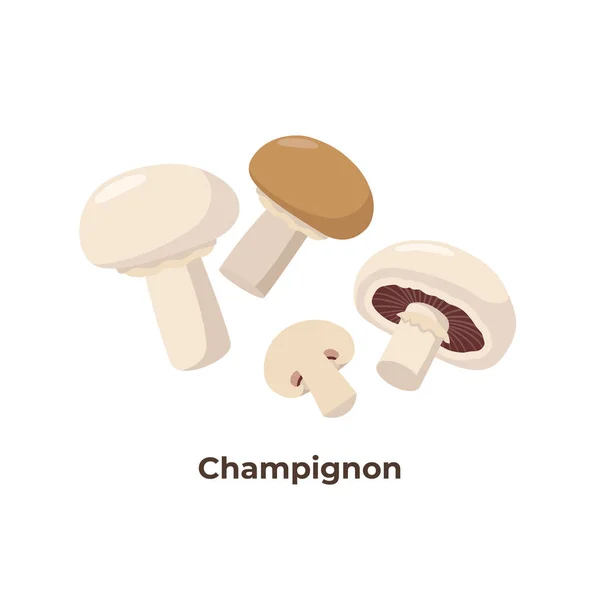Funghi Champignon isolati su fondo bianco, illustrazione vettoriale a disegno piatto. Gruppo di funghi portobello . — Vettoriale Stock