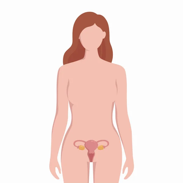 Utérus sur silhouette de corps de femme illustration médicale vectorielle isolée sur fond blanc. Organe intérieur humain placé dans des éléments infographiques bady dans un design plat . — Image vectorielle