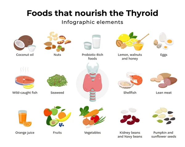 Alimentos saludables para la tiroides, conjunto de iconos de alimentos en diseño plano aislado sobre fondo blanco. Alimentos que nutren los elementos infográficos de la tiroides y la glándula tiroides en la laringe y la tráquea vector ilustración — Vector de stock