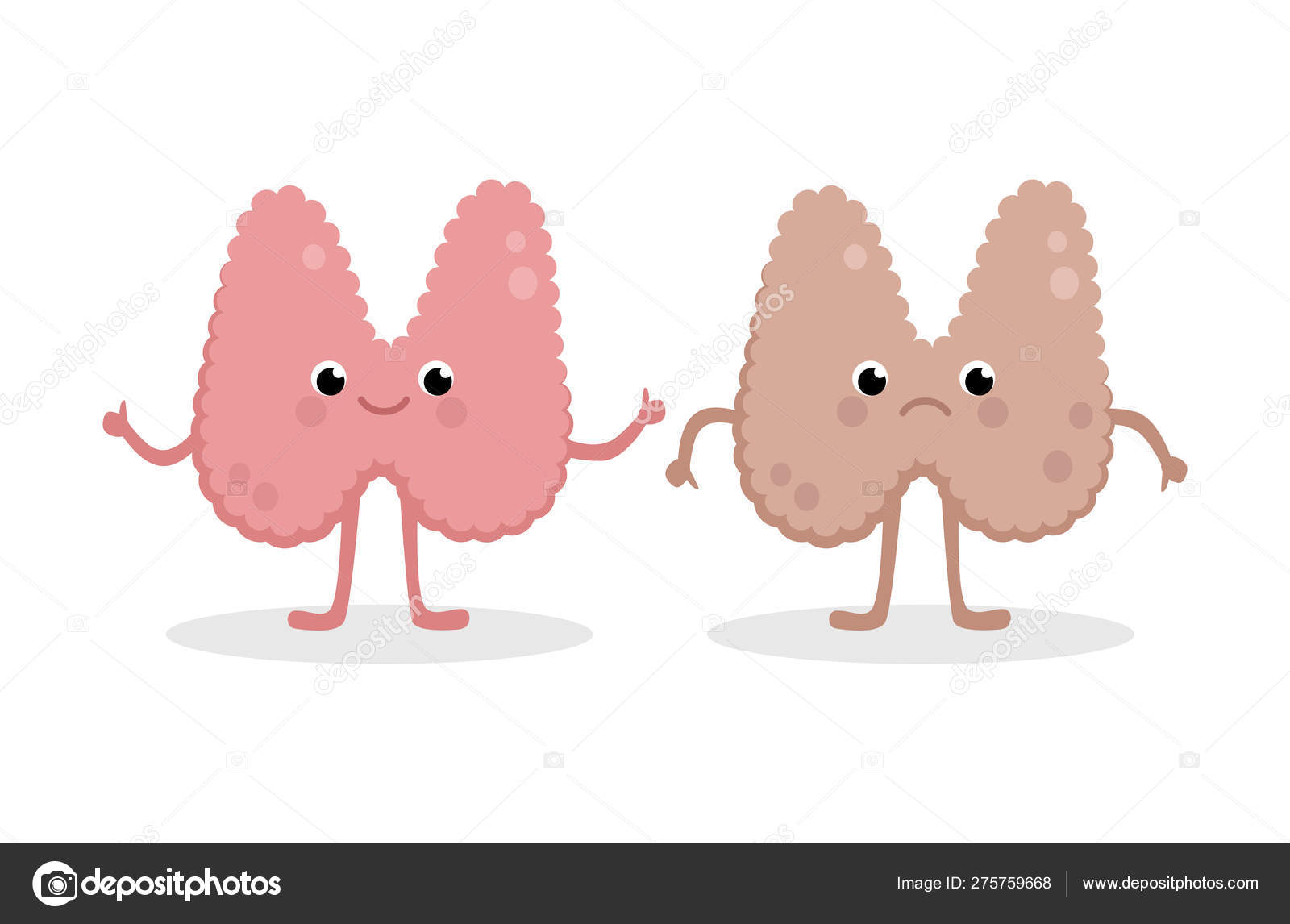 Tireóide feliz saudável e perturbado Personagens de desenhos animados  tireoidianos insalubres isolados em fundo branco. Ilustração vetorial em  design plano . Vetor de ©Bezvershenko 275759668, image size:1600x1146