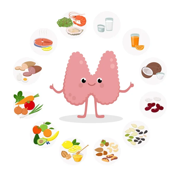 Cute Thyroid Gland Cartoon ilustración de vectores de personajes y alimentos saludables para la salud de la tiroides conjunto de iconos en diseño plano aislado sobre fondo blanco. Elementos de la infografía médica . — Vector de stock