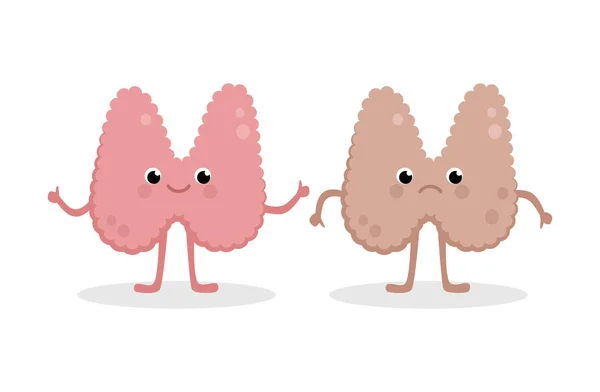 Healthy Happy Thyroid and Upset Unhealthy Personajes de dibujos animados de la tiroides aislados sobre fondo blanco. Ilustración vectorial en diseño plano . — Vector de stock