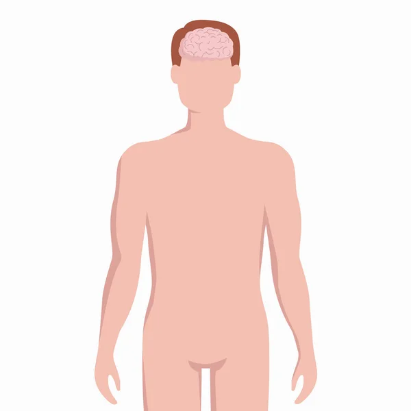 Cervello sul corpo dell'uomo silhouette vettore illustrazione medica isolato su sfondo bianco. Organo interno umano inserito in elementi infografici loschi in design piatto . — Vettoriale Stock