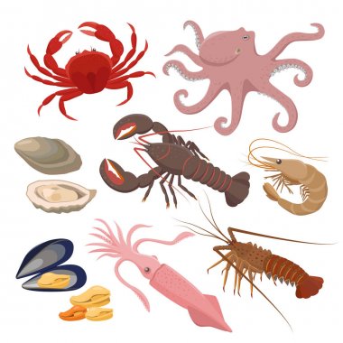 Seafood set of vector illustrations in flat design isolated on white background. Vector icons mussel, shrimp, squid, octopus, lobster, crab, mollusk, oyster -fresh sea food. clipart