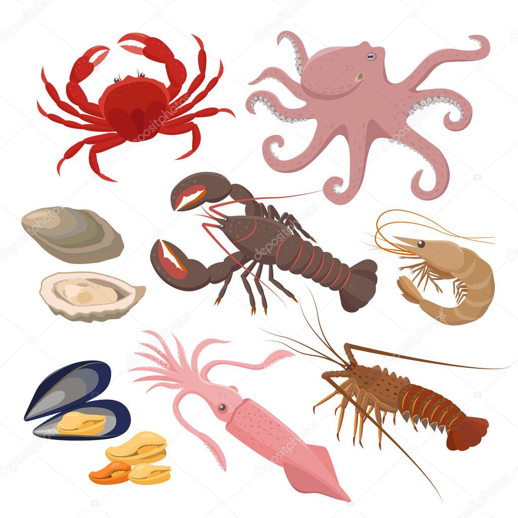 Seafood set of vector illustrations in flat design isolated on white background. Vector icons mussel, shrimp, squid, octopus, lobster, crab, mollusk, oyster -fresh sea food.