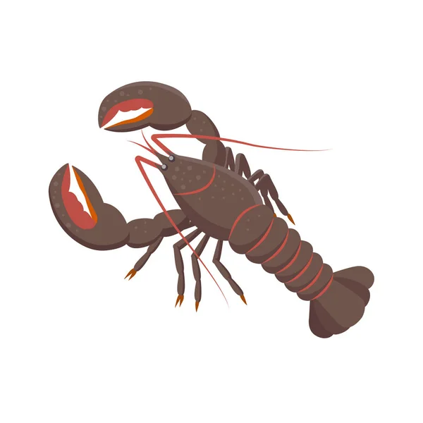 Ilustracja wektora homara w płaskiej konstrukcji na białym tle. — Wektor stockowy