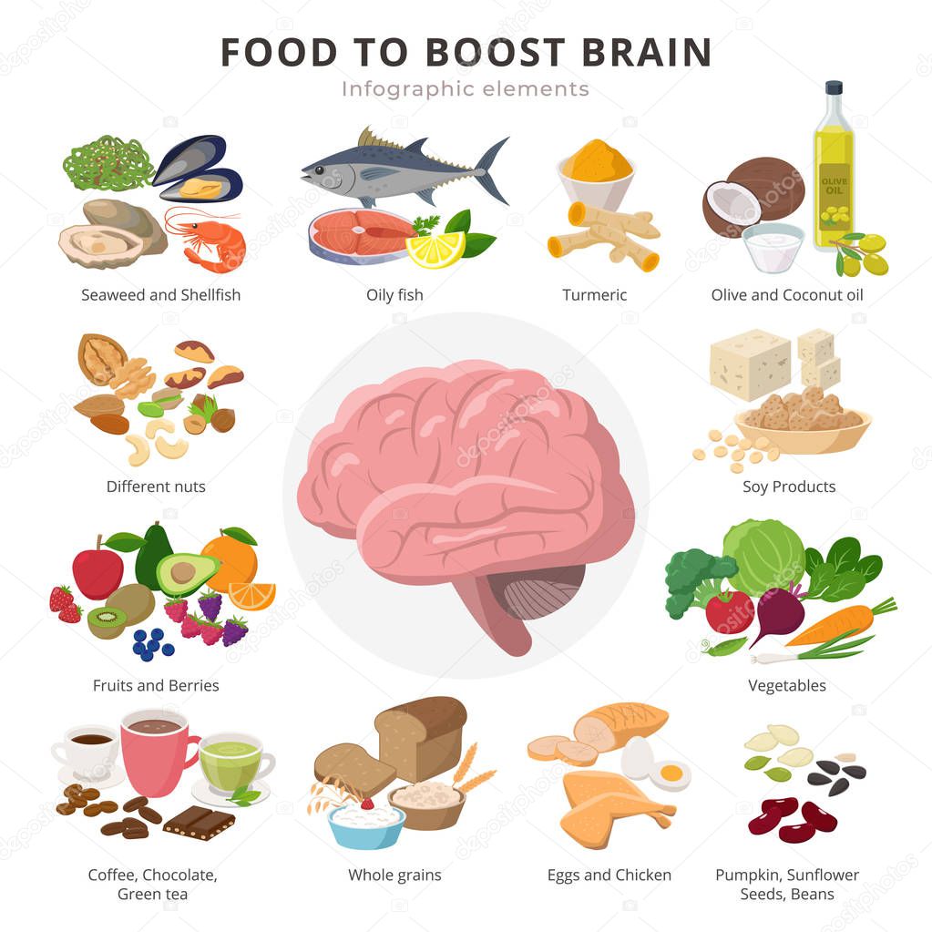 Healthy food for brains infographic elements in detailed flat design isolated on white background. Big collection of foods icons around the Brain illustration, medical infographic theme.