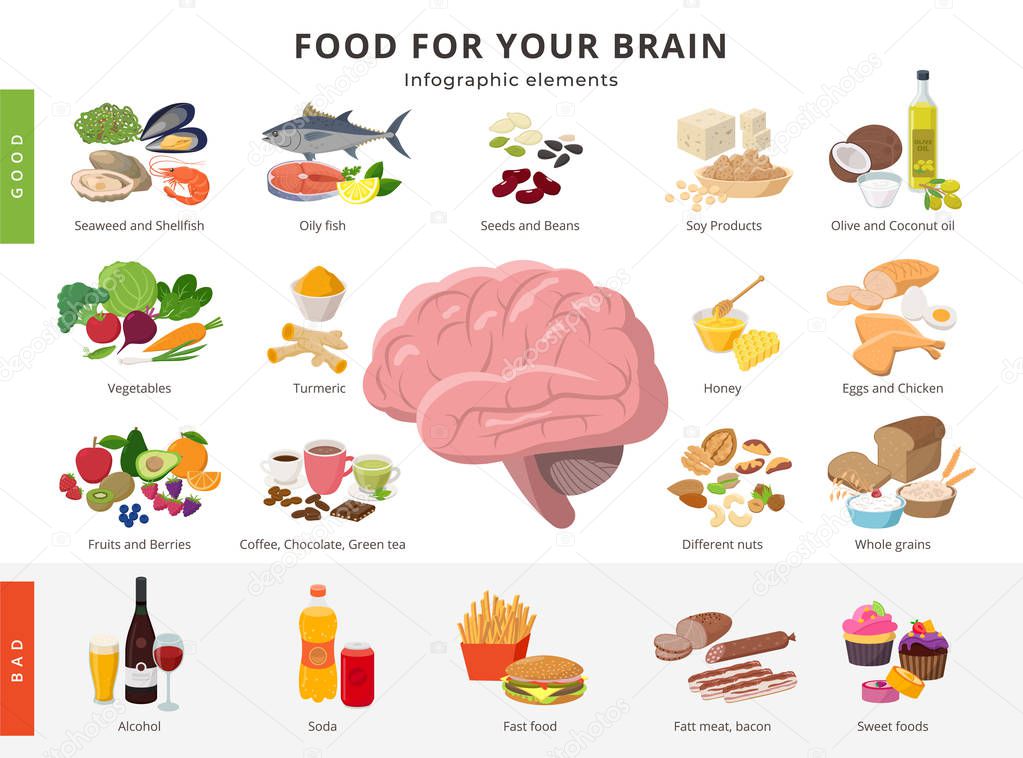 Healthy food and bad food for brains infographic elements in detailed flat design isolated on white background. Big collection of foods icons around the Brain illustration, medical infographic theme.