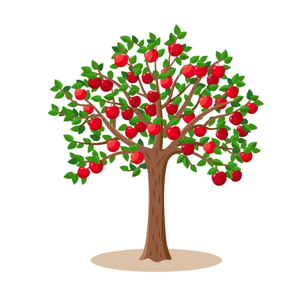 Árvore de maçã com maçãs vermelhas frutas em galhos - ilustração vetorial isolada no fundo branco . —  Vetores de Stock