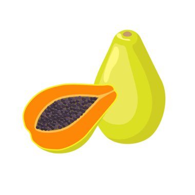 Papaya vektör illüstrasyonu beyaz arkaplanda izole edildi. Sulu tropikal egzotik meyve - papaw.