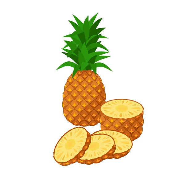 Ananas Vector illustratie geïsoleerd op witte achtergrond. Sappige tropische exotische vruchten - hele ananas en gesneden stukken. — Stockvector