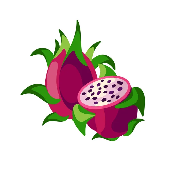 Drachenfrüchte Vektor Illustration isoliert auf weißem Hintergrund. Saftige tropische exotische Früchte - Pitaya. — Stockvektor