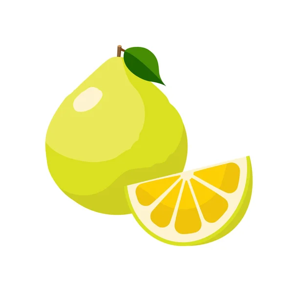 Pomelo vector illustratie geïsoleerd op witte achtergrond. Sappige tropische exotische citrusvruchten. — Stockvector