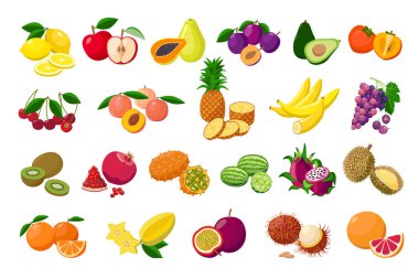 Büyük meyve koleksiyonu beyaz arka planda izole edilmiş detaylı vektör çizimleri. Sulu pitaya, durian, karambola, kiwano, rambutan, karamelon, pomelo, parmak sitron, çarkıfelek meyvesi, şeftali, limon.