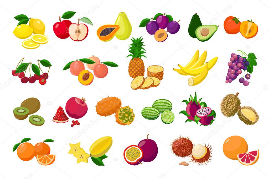 Large fruit collection detailed vector illustrations isolated on white background. Juicy pitaya, durian, carambola, kiwano, rambutan, cucamelon, pomelo, fingered citron, passion fruit, peaches, lemon.