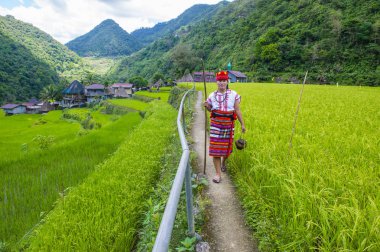 Banaue, Filipinler - Mayıs 02: Kadından Ifugao pirinç terasları Banaue Türkiye üzerinde 02 Mayıs 2018 yılında yakınındaki azınlık. Kuzey Filipinler dağların çoğunlukla canlı Ifugao azınlık