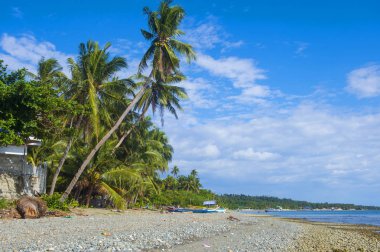 Marindique Island, Filipinler tropikal plaj 