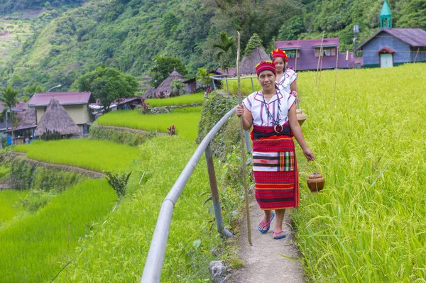 Banaue Φιλιππίνες Μαϊ Γυναίκες Από Ifugao Μειονότητα Κοντά Ένα Ρύζι — Φωτογραφία Αρχείου