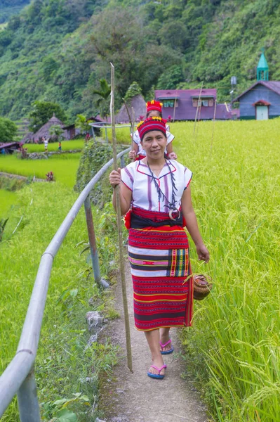Banaue, Filipinler - Mayıs 02: Azınlık Ifugao pirinç terasları Banaue Türkiye üzerinde 02 Mayıs 2018 yılında yakınındaki kadınlar. Kuzey Filipinler dağların çoğunlukla canlı Ifugao azınlık