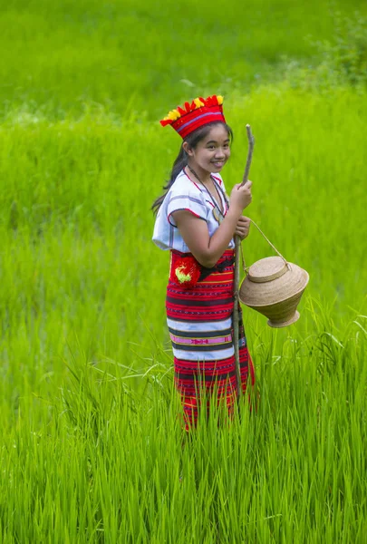 Banaue, Filipinler - Mayıs 02: Kadından Ifugao pirinç terasları Banaue Türkiye üzerinde 02 Mayıs 2018 yılında yakınındaki azınlık. Kuzey Filipinler dağların çoğunlukla canlı Ifugao azınlık