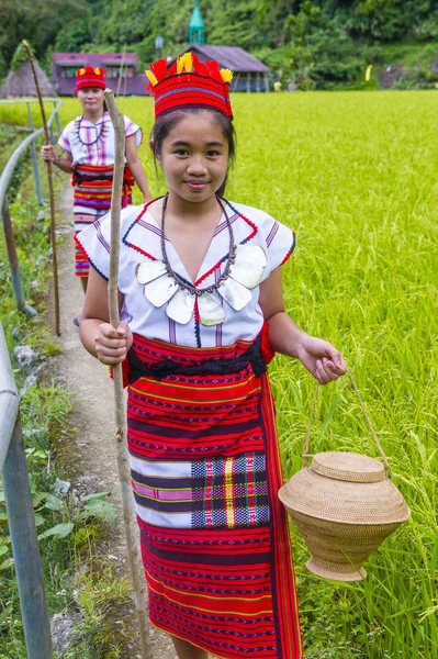 Banaue, Filipinler - Mayıs 02: Azınlık Ifugao pirinç terasları Banaue Türkiye üzerinde 02 Mayıs 2018 yılında yakınındaki kadınlar. Kuzey Filipinler dağların çoğunlukla canlı Ifugao azınlık