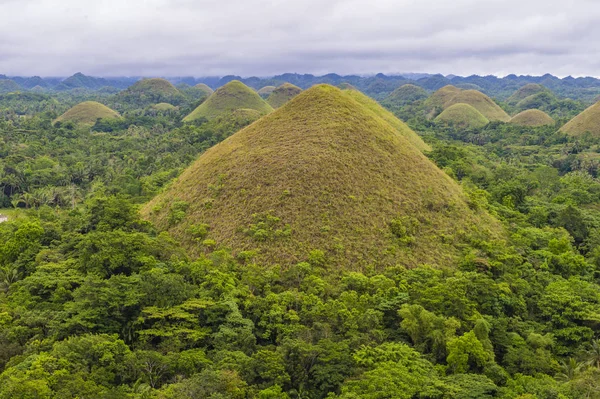 Bohol içinde çikolata hills Filipinler ada