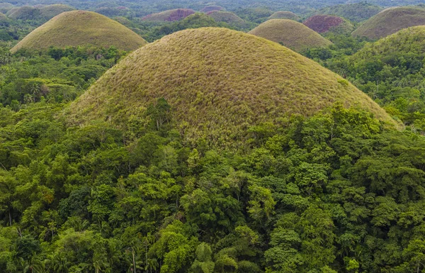 Bohol içinde çikolata hills Filipinler ada