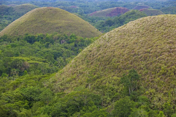 Bohol içinde çikolata hills Filipinler ada