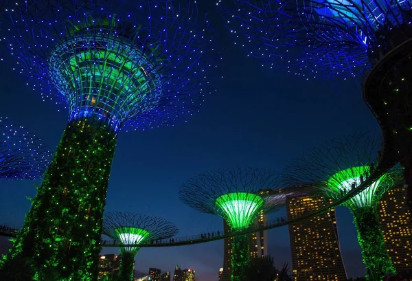 Singapur Febrero Superárboles Jardines Junto Bahía Singapur Febrero 2018 Espectáculo — Foto de Stock