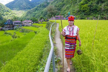 Banaue, Filipinler - Mayıs 02: Kadından Ifugao pirinç terasları Banaue Türkiye üzerinde 02 Mayıs 2018 yılında yakınındaki azınlık. Kuzey Filipinler dağların çoğunlukla canlı Ifugao azınlık