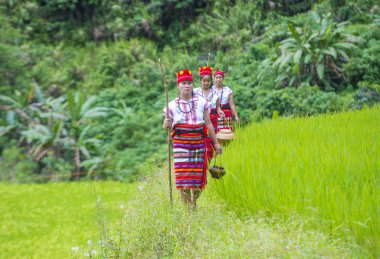 Banaue, Filipinler - Mayıs 02: Azınlık Ifugao pirinç terasları Banaue Türkiye üzerinde 02 Mayıs 2018 yılında yakınındaki kadınlar. Kuzey Filipinler dağların çoğunlukla canlı Ifugao azınlık