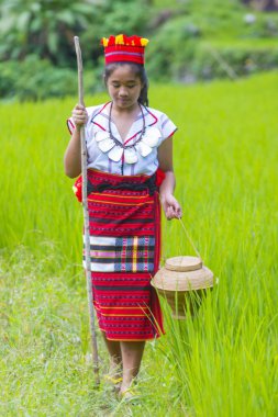 Banaue, Filipinler - Mayıs 02: Kadından Ifugao pirinç terasları Banaue Türkiye üzerinde 02 Mayıs 2018 yılında yakınındaki azınlık. Kuzey Filipinler dağların çoğunlukla canlı Ifugao azınlık