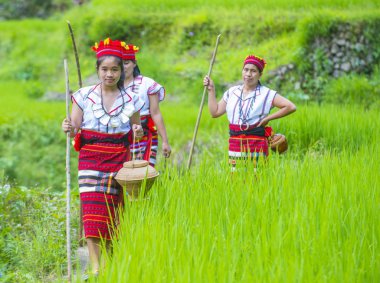 Banaue, Filipinler - Mayıs 02: Azınlık Ifugao pirinç terasları Banaue Türkiye üzerinde 02 Mayıs 2018 yılında yakınındaki kadınlar. Kuzey Filipinler dağların çoğunlukla canlı Ifugao azınlık