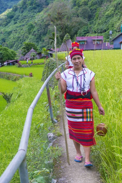 Banaue, Filipinler - Mayıs 02: Azınlık Ifugao pirinç terasları Banaue Türkiye üzerinde 02 Mayıs 2018 yılında yakınındaki kadınlar. Kuzey Filipinler dağların çoğunlukla canlı Ifugao azınlık