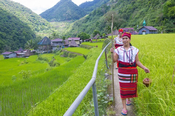 Banaue, Filipinler - Mayıs 02: Azınlık Ifugao pirinç terasları Banaue Türkiye üzerinde 02 Mayıs 2018 yılında yakınındaki kadınlar. Kuzey Filipinler dağların çoğunlukla canlı Ifugao azınlık